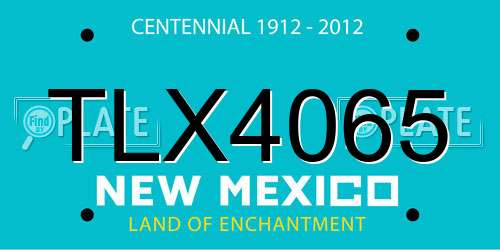 TLX4065 New Mexico License Plate