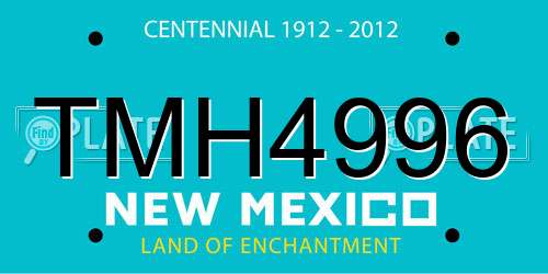 TMH4996 New Mexico License Plate