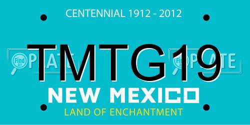TMTG19 New Mexico License Plate