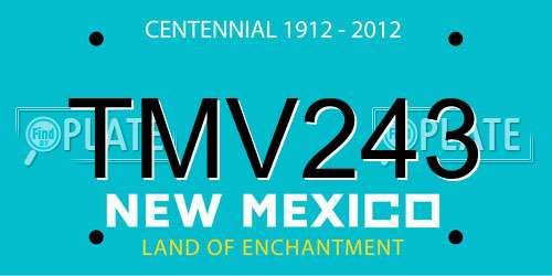 TMV243 New Mexico License Plate