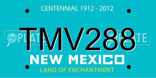 TMV288 New Mexico License Plate