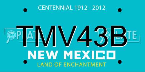 TMV43B New Mexico License Plate