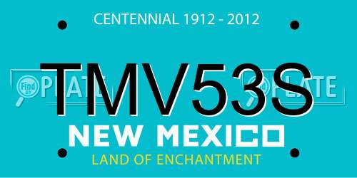 TMV53S New Mexico License Plate