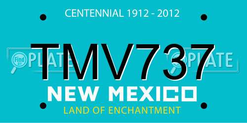 TMV737 New Mexico License Plate