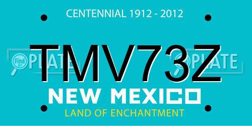 TMV73Z New Mexico License Plate