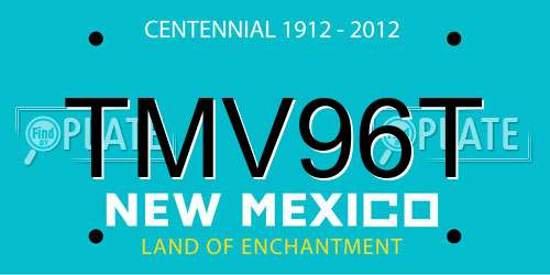 TMV96T New Mexico License Plate