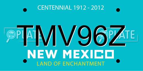 TMV96Z New Mexico License Plate