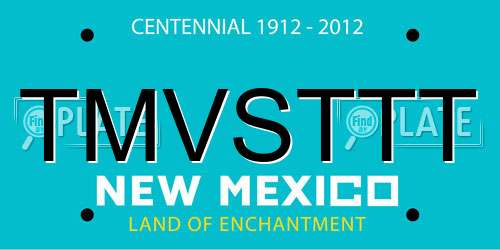TMVSTTT New Mexico License Plate
