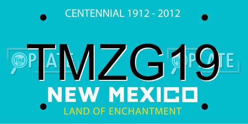 TMZG19 New Mexico License Plate
