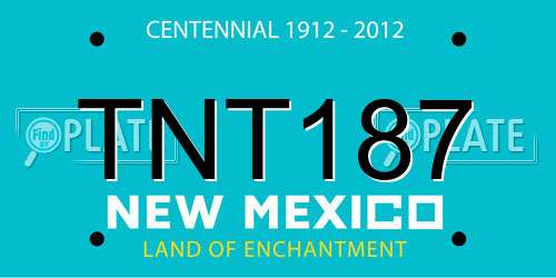 TNT187 New Mexico License Plate