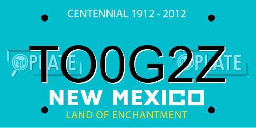 TO0G2Z New Mexico License Plate
