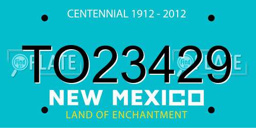 TO23429 New Mexico License Plate