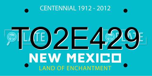 TO2E429 New Mexico License Plate