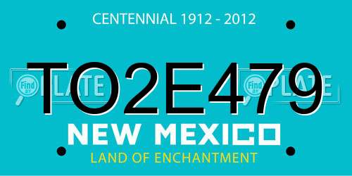 TO2E479 New Mexico License Plate