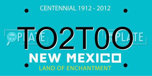 TO2T0O New Mexico License Plate