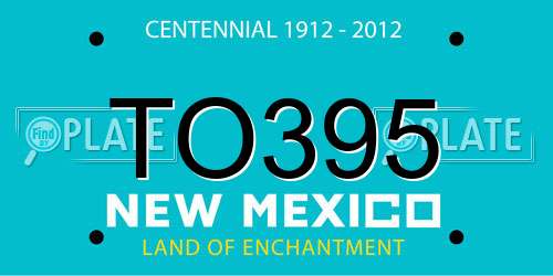 TO395 New Mexico License Plate
