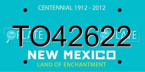 TO42622 New Mexico License Plate