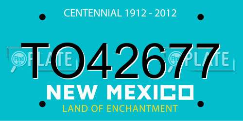 TO42677 New Mexico License Plate