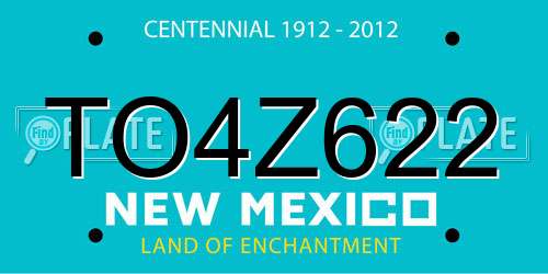TO4Z622 New Mexico License Plate