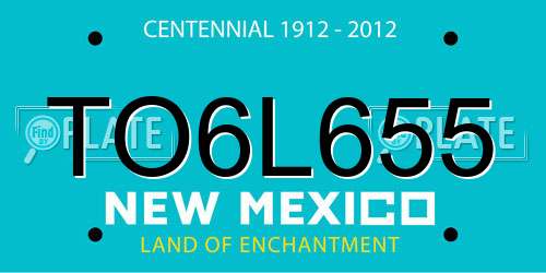 TO6L655 New Mexico License Plate