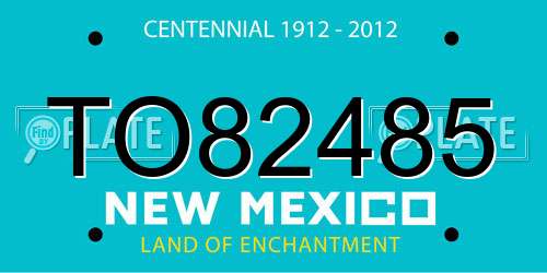 TO82485 New Mexico License Plate