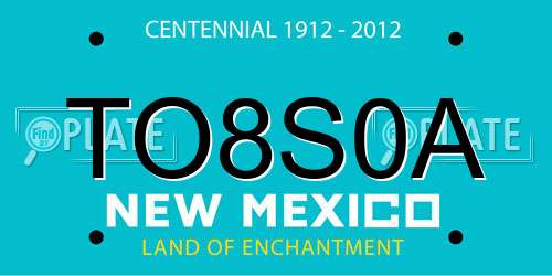 TO8S0A New Mexico License Plate