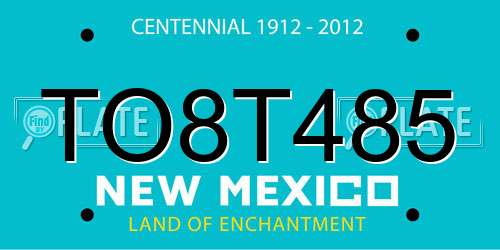 TO8T485 New Mexico License Plate