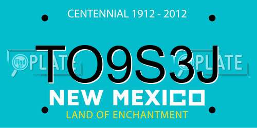 TO9S3J New Mexico License Plate