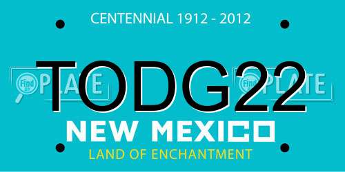 TODG22 New Mexico License Plate