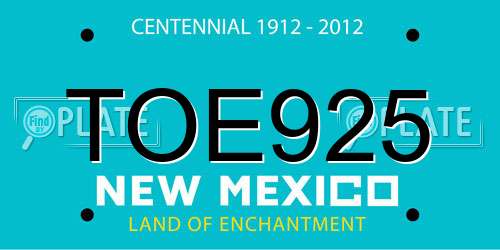 TOE925 New Mexico License Plate
