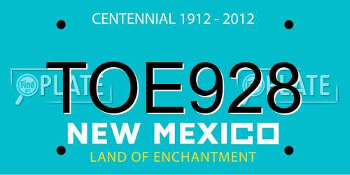 TOE928 New Mexico License Plate