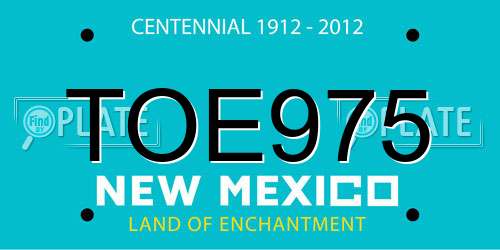 TOE975 New Mexico License Plate