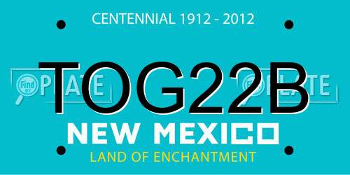 TOG22B New Mexico License Plate