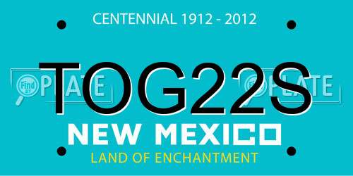 TOG22S New Mexico License Plate