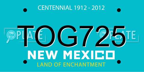 TOG725 New Mexico License Plate