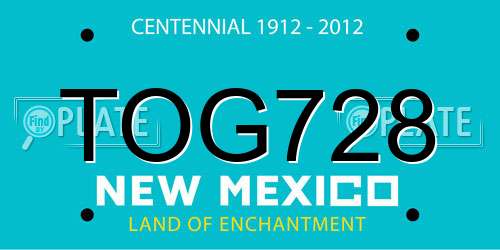 TOG728 New Mexico License Plate