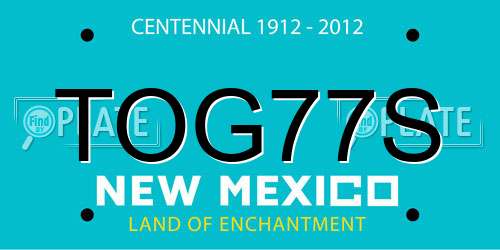 TOG77S New Mexico License Plate