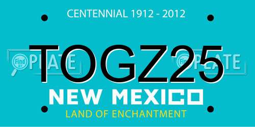 TOGZ25 New Mexico License Plate