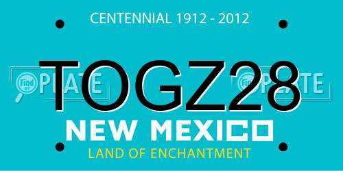 TOGZ28 New Mexico License Plate