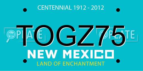 TOGZ75 New Mexico License Plate