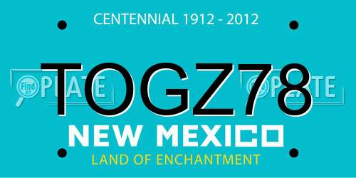 TOGZ78 New Mexico License Plate