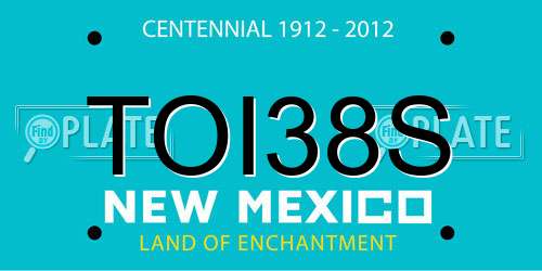TOI38S New Mexico License Plate