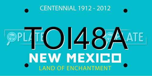 TOI48A New Mexico License Plate
