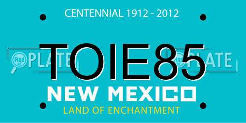 TOIE85 New Mexico License Plate