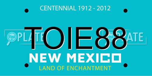 TOIE88 New Mexico License Plate