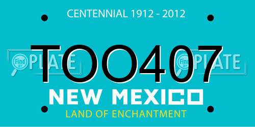 TOO407 New Mexico License Plate