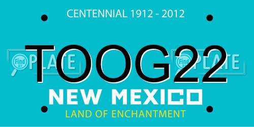 TOOG22 New Mexico License Plate