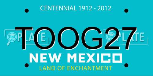 TOOG27 New Mexico License Plate