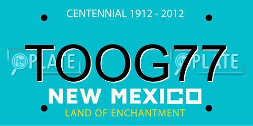 TOOG77 New Mexico License Plate