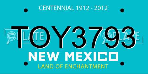 TOY3793 New Mexico License Plate